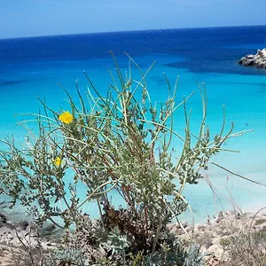 Serena Lampedusa