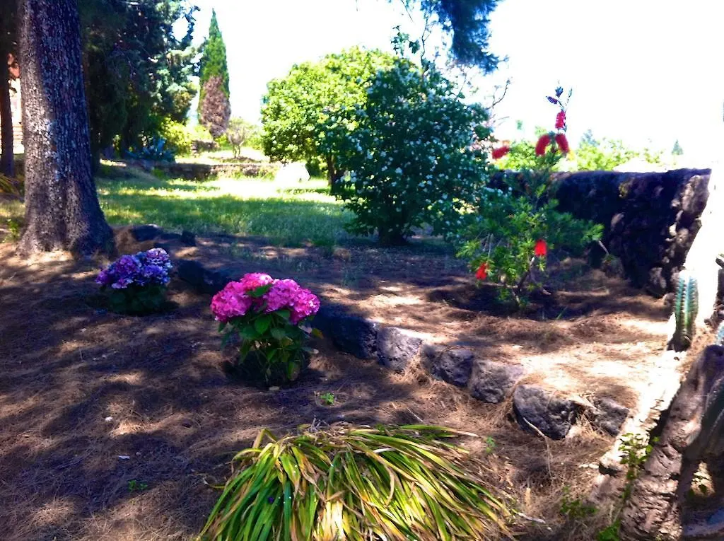 Villa Bonaccorso - Antica E Maestosa Villa Con Piscina Ai Piedi Dell'Etna Viagrande Italy